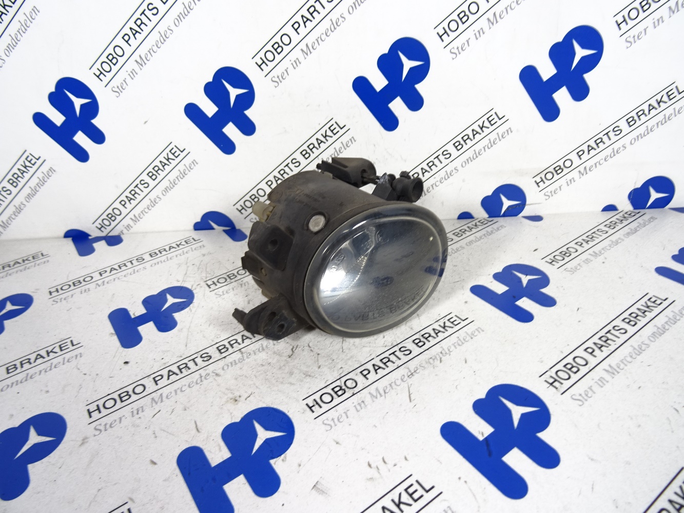 Mistlamp A 251 820 0856 RV