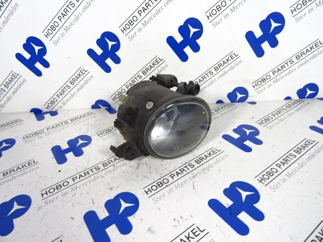 Mistlamp A 251 820 0856 RV
