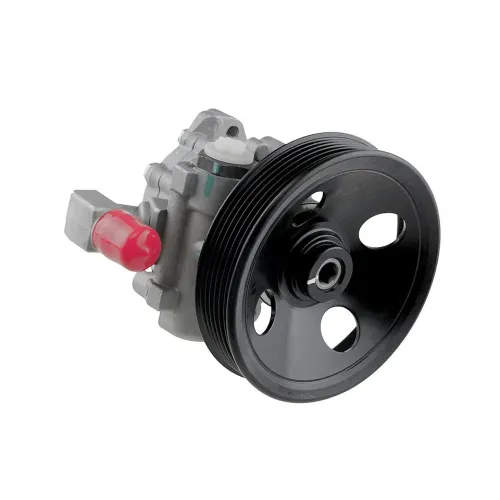 Stuurpomp A 002 466 8201 (Nieuw) - Spw me 031 1 - SPW-ME-031